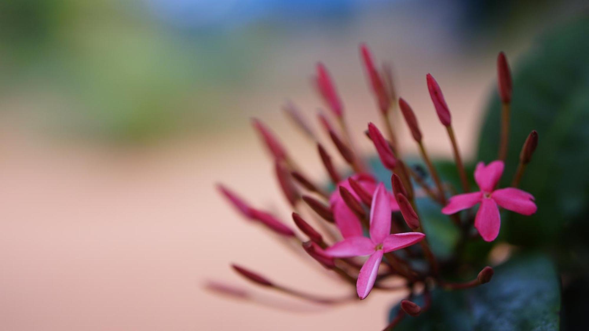 Namal Homestay สิกิริยา ภายนอก รูปภาพ